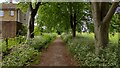 Path running alongside Stowe Avenue