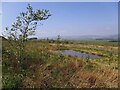 Pond at the top of a field