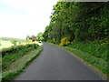 National Cycle Route 77 beside woodland