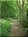 Riverside path at Craig-y-Parcau Local Nature Reserve, Bridgend