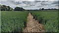 Path heading to Shalstone