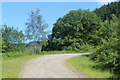 Bend in track, Hafodyrynys Forest