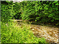 River Irwell at Summerseat