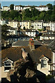 Pigeon over Torquay