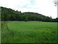 Crop field, Glen Carse