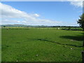 Grazing, East Leys