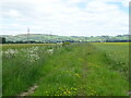 Farm track beside drain, West Grange