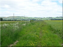 NO2625 : Farm track beside drain, West Grange by JThomas