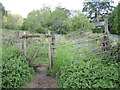 The path up Knapp Hill