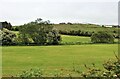 Fields below Crofthead Holiday Park