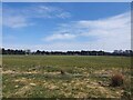 Hazlehead playing fields