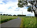 Rural road, Aberdeenshire style