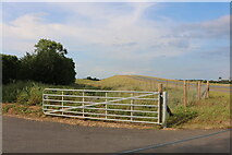 TL2967 : Farm track by Potton Road, Hilton by David Howard