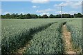 Farmland, Northington