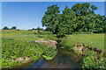 Earlswood Brook