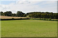 TQ6367 : Pasture, Melliker Farm by N Chadwick