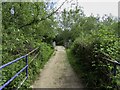 Footpath to Iffley Meadows