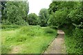 Path and boardwalk