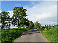 Road from Inverarity towards the A90