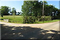 Trimmed trees at the entrance to Badgers Farm