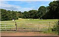 Sheltered pasture by the Water of Coyle