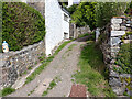 An alley off the South West Coast Path, Coverack