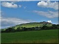 Distant view of The Roaches from Whitty Lane