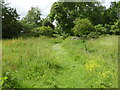 TG2431 : Path through Flower Meadow by David Pashley