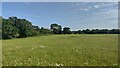 Field next to The Clock House