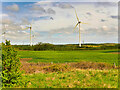 NZ2889 : Wind Turbines near Woodhorn by David Dixon