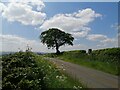 Minor road and trig point