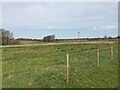 HS2 enabling works near Offchurch, April 2021 (10)