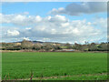 Field east of Bull Lane