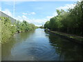 Bridgewater Canal, Trafford Park