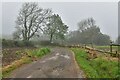 Oxwich Castle Farm track