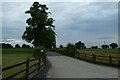 Driveway to Clock Farm