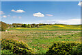 NU2312 : Farmland near to Lesbury by David Dixon