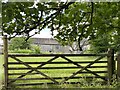 Field gate at Glynhir Mansion