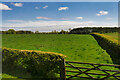 Grass Field off the B1339 between Stamford and Embleton