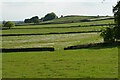 Fields near Spitewinter