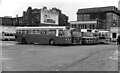 A line-up of buses ? 1968