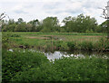 Wader scrape, Nunnery Lakes