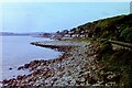 The Towy estuary south of Ferryside, 1981