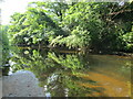 River Trent at Stone