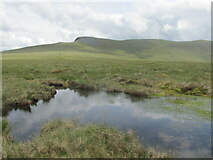 NY3128 : Boggy ground on Mungrisdale Common by steven ruffles