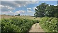 Access road to Pennlands Farm