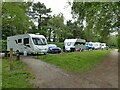 Travellers at Shakerley Mere