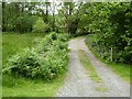 Track and footpath