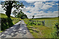 H4869 : Crevenagh Road, Camowen by Kenneth  Allen