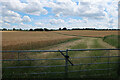 Fields by Moulton Road